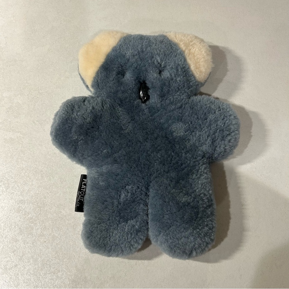 Flatout bear Australia koala